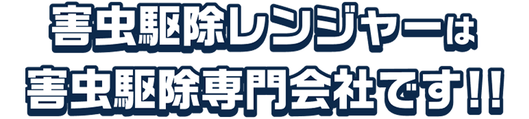 害虫駆除レンジャーは害虫駆除専門会社です