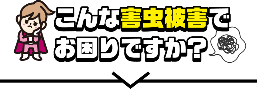 こんなゴキブリでお困りですか